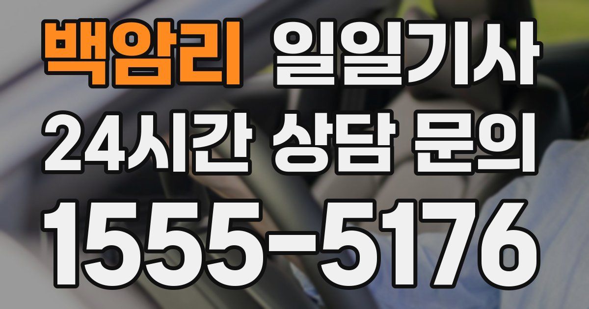 일일대리기사