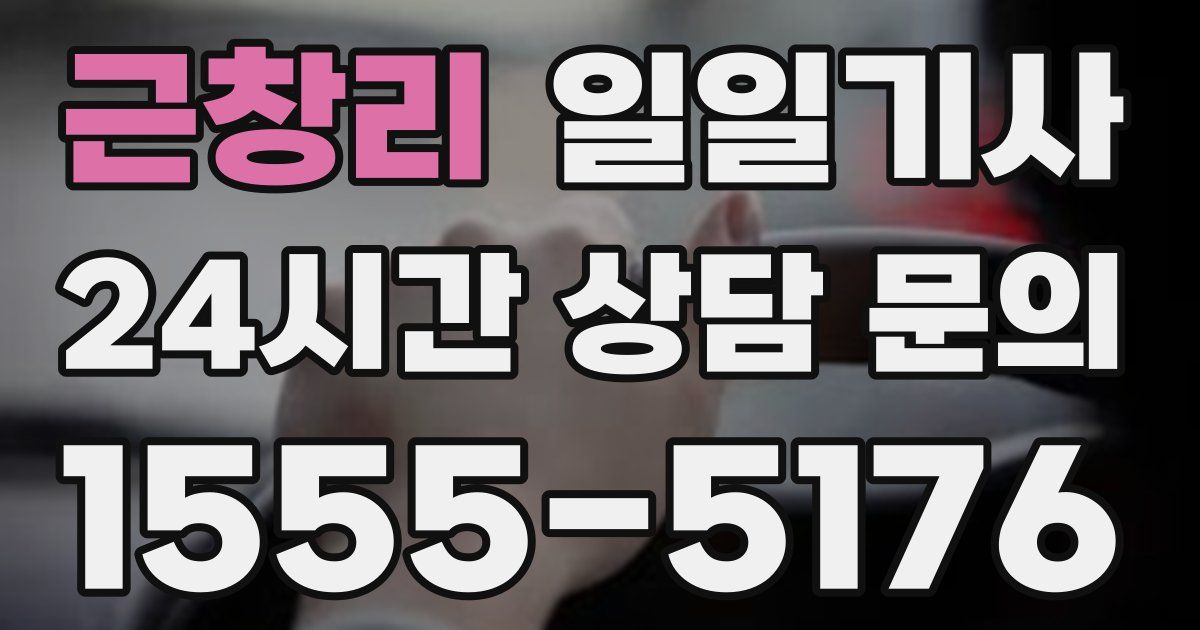 일일대리기사