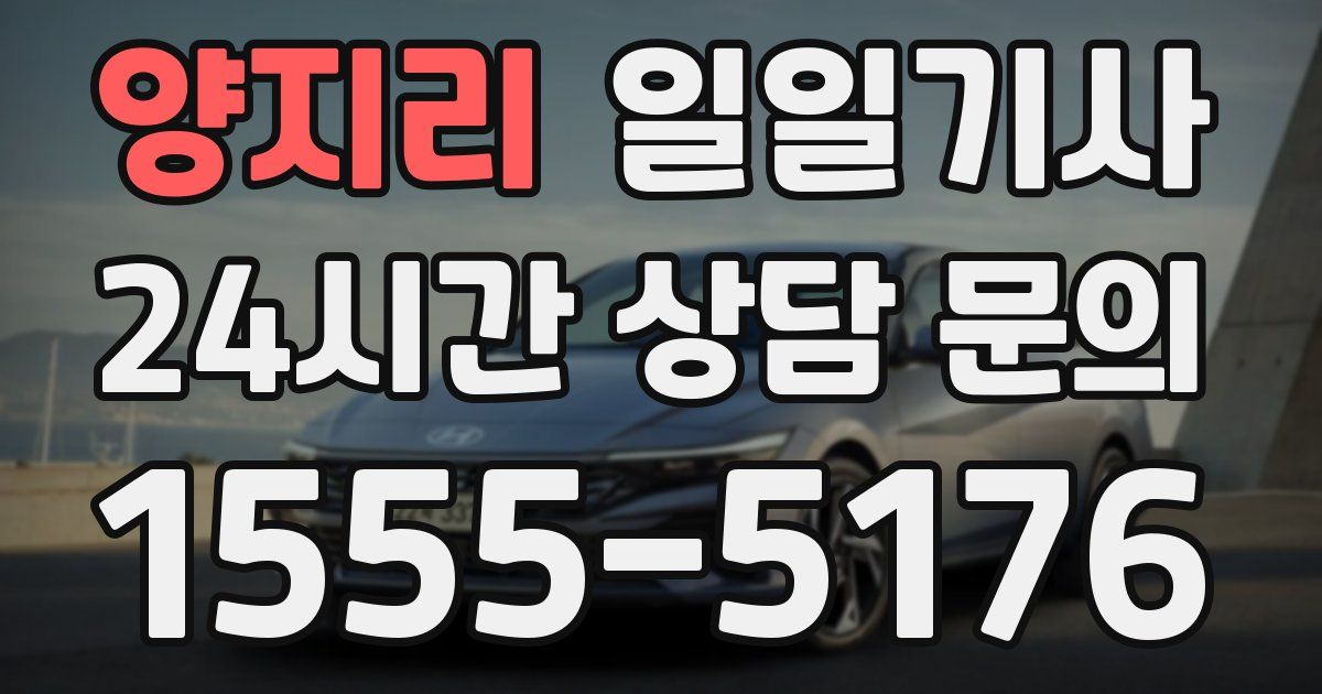 일일대리기사