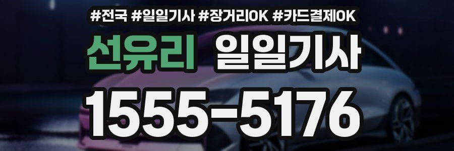 선유리 일일기사