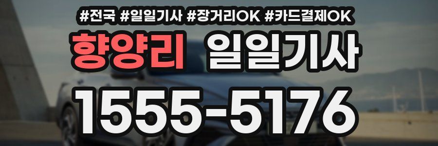 향양리 일일기사