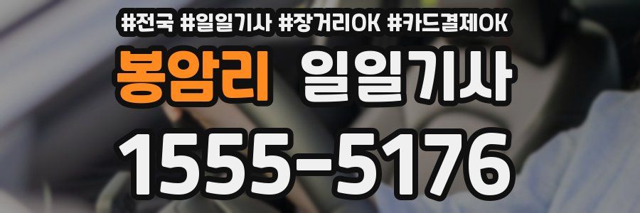 봉암리 일일기사