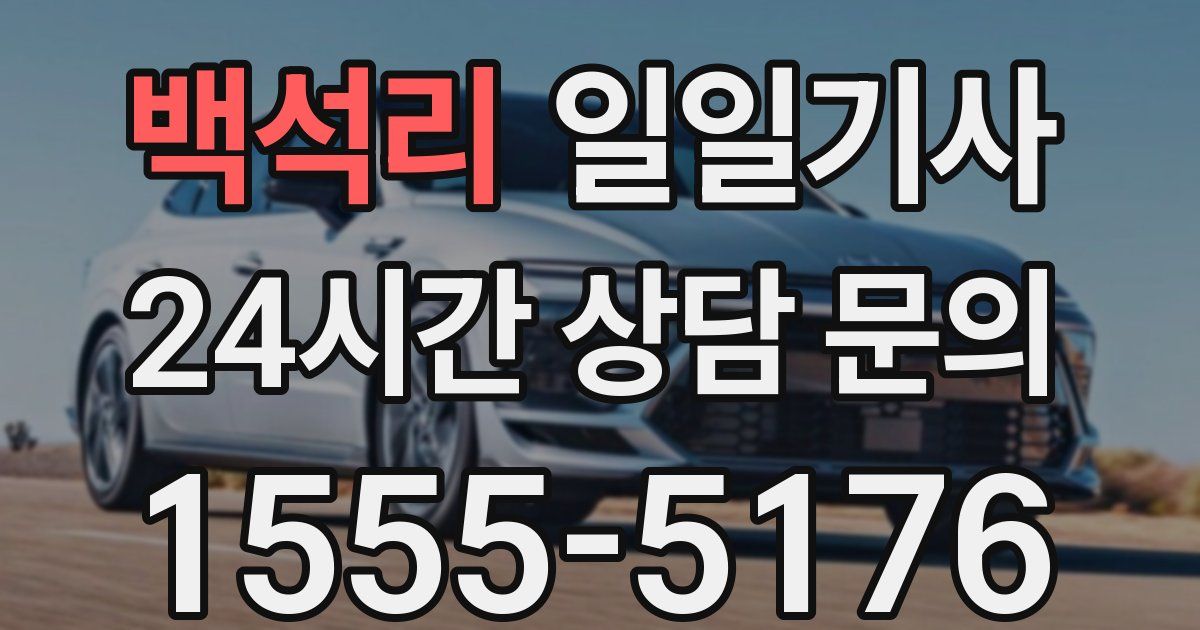 일일대리기사