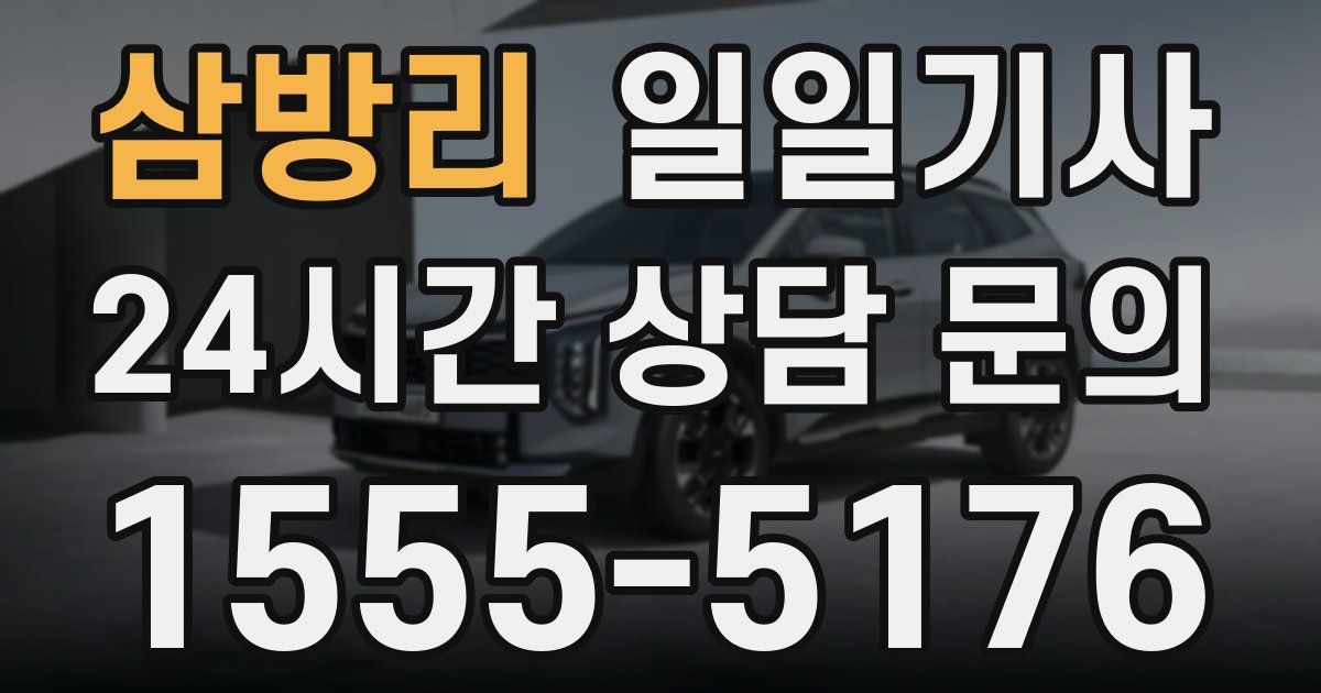 일일대리기사