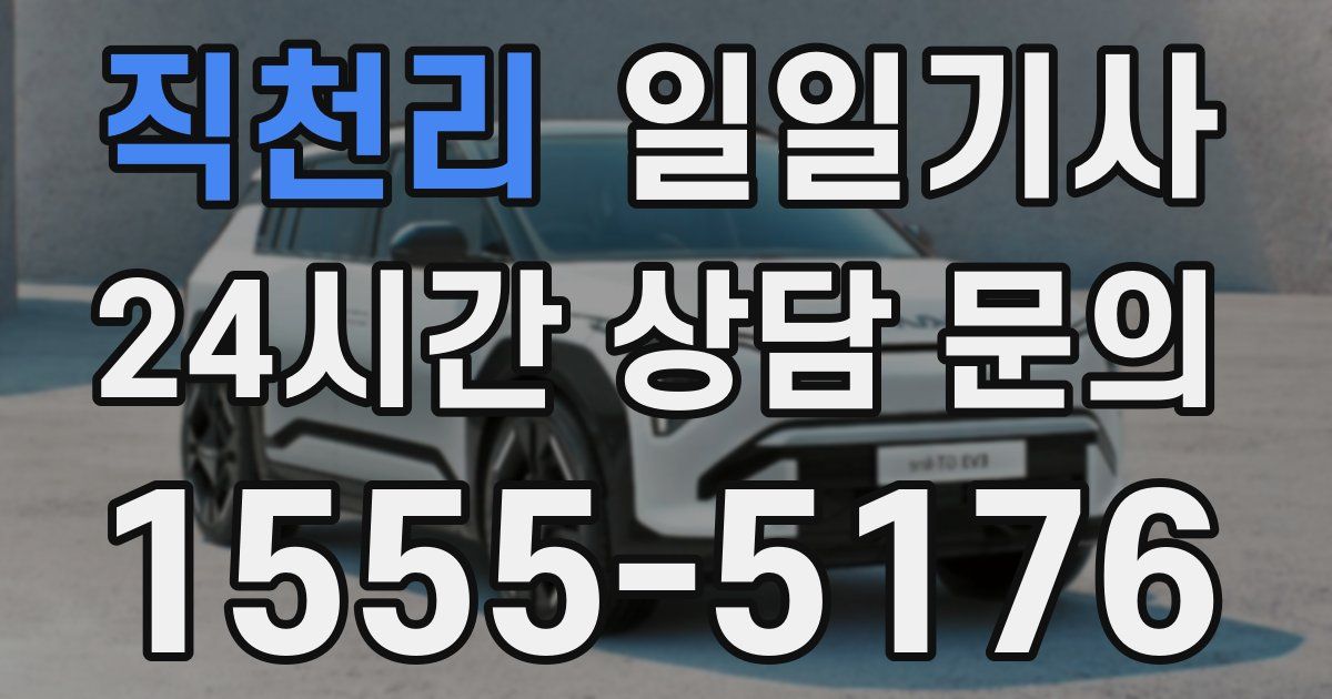 일일대리기사