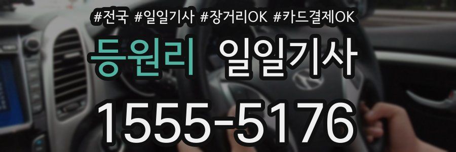 등원리 일일기사