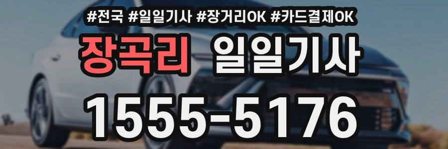 장곡리 일일기사