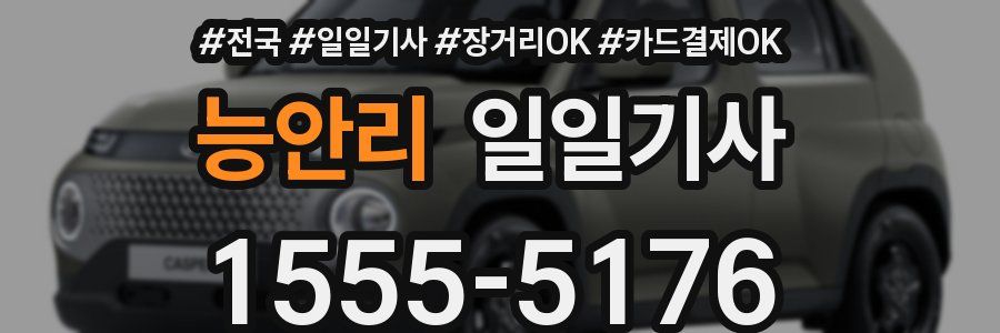 능안리 일일기사