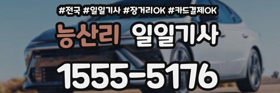 능산리 일일기사