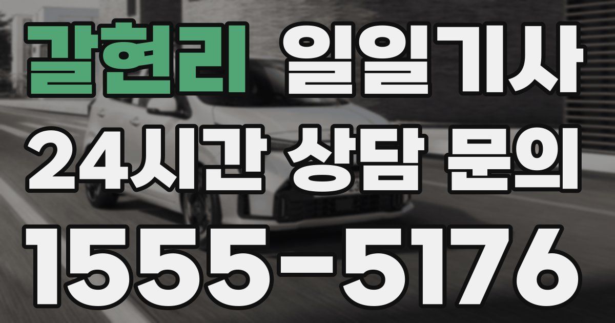 일일대리기사
