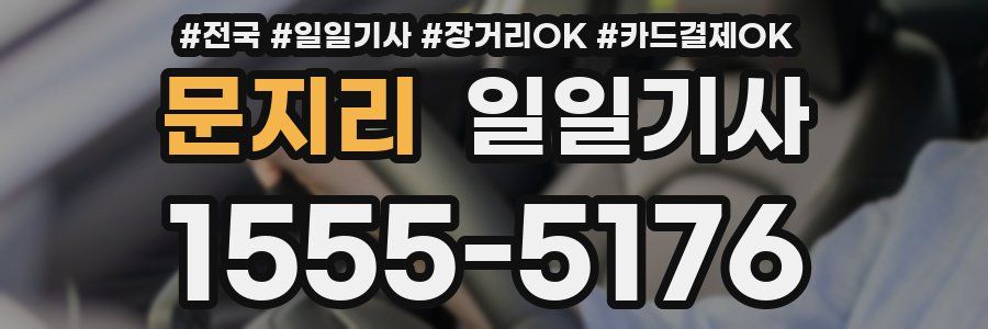 문지리 일일기사