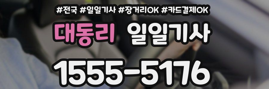 대동리 일일기사