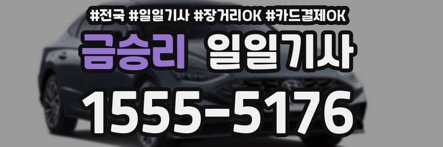 금승리 일일기사