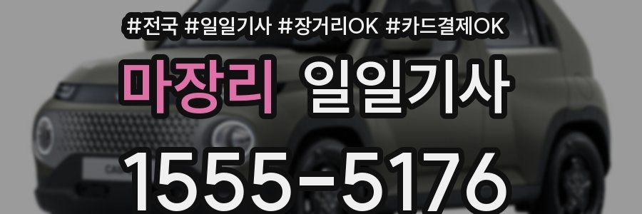 마장리 일일기사