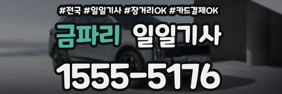금파리 일일기사