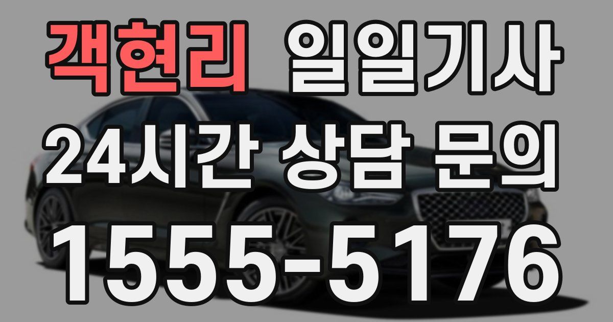 일일대리기사
