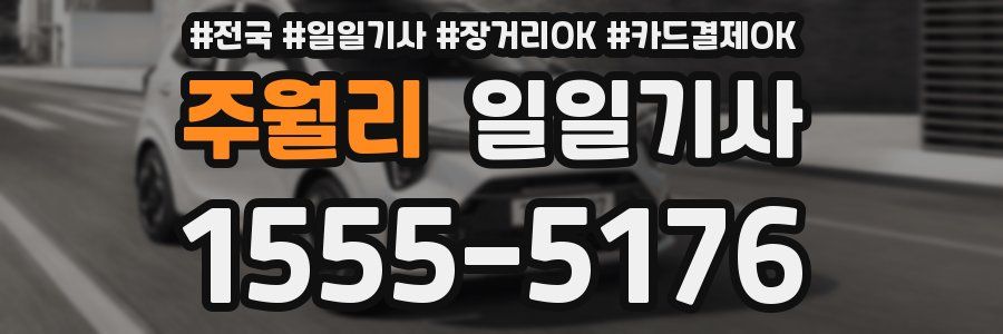 주월리 일일기사