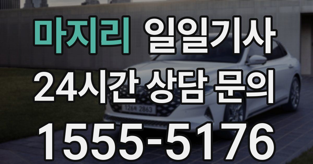 일일대리기사