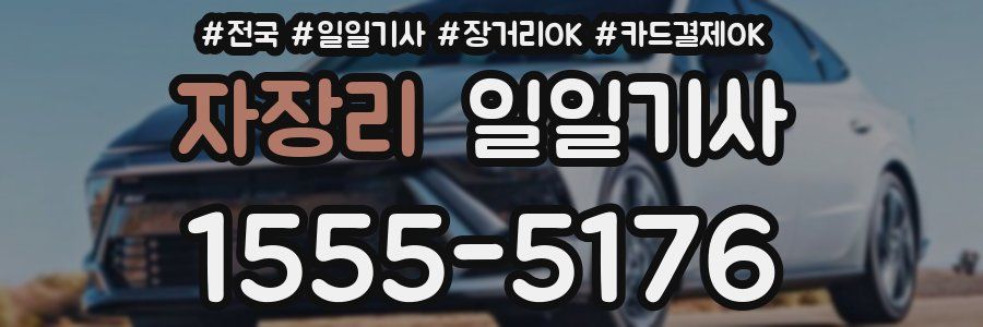 자장리 일일기사