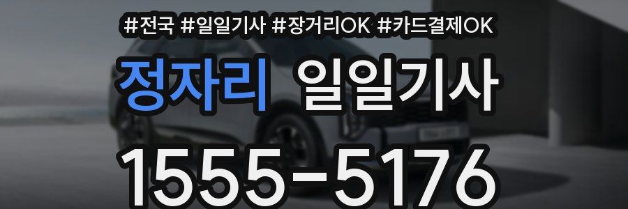 정자리 일일기사
