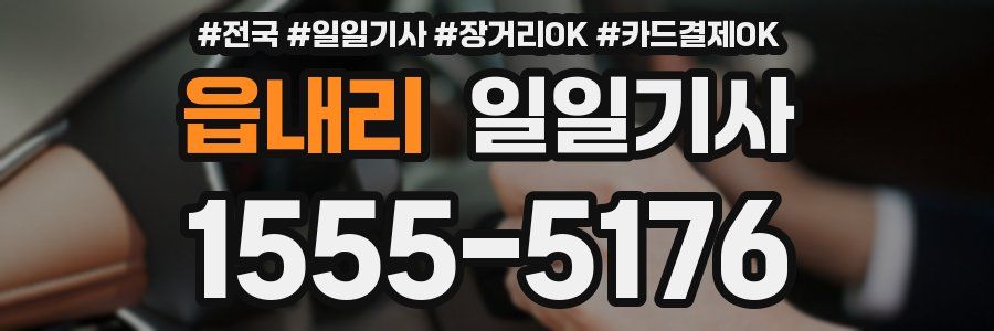 읍내리 일일기사