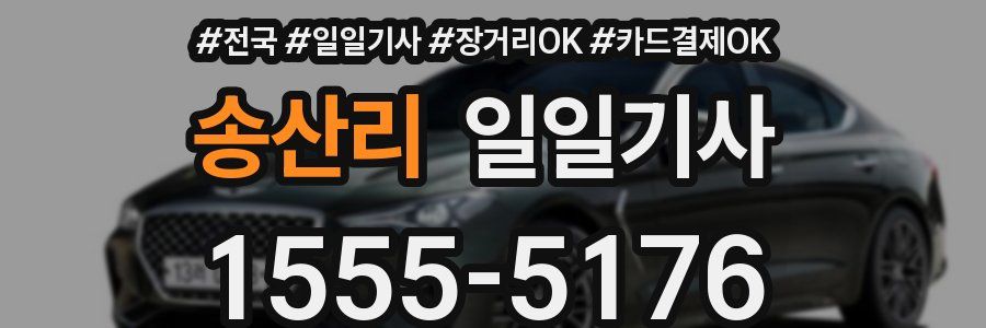 송산리 일일기사