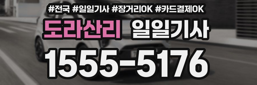 도라산리 일일기사