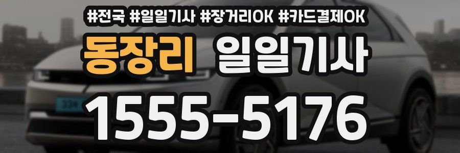 동장리 일일기사