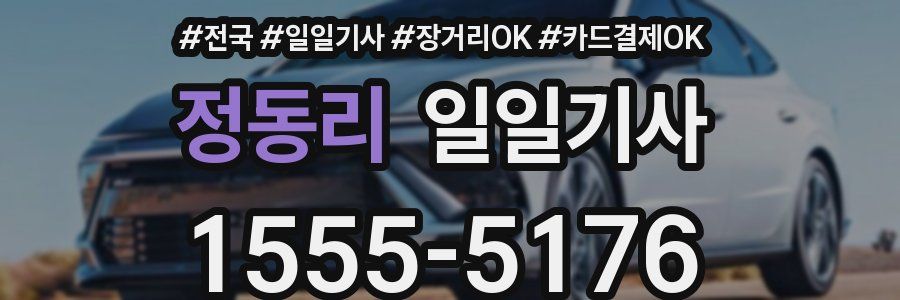 정동리 일일기사