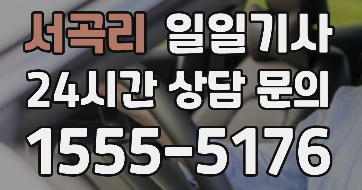 일일대리기사