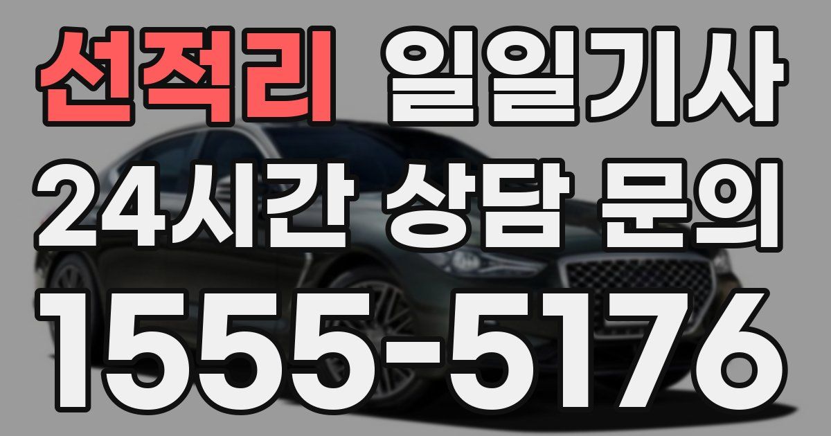 일일대리기사