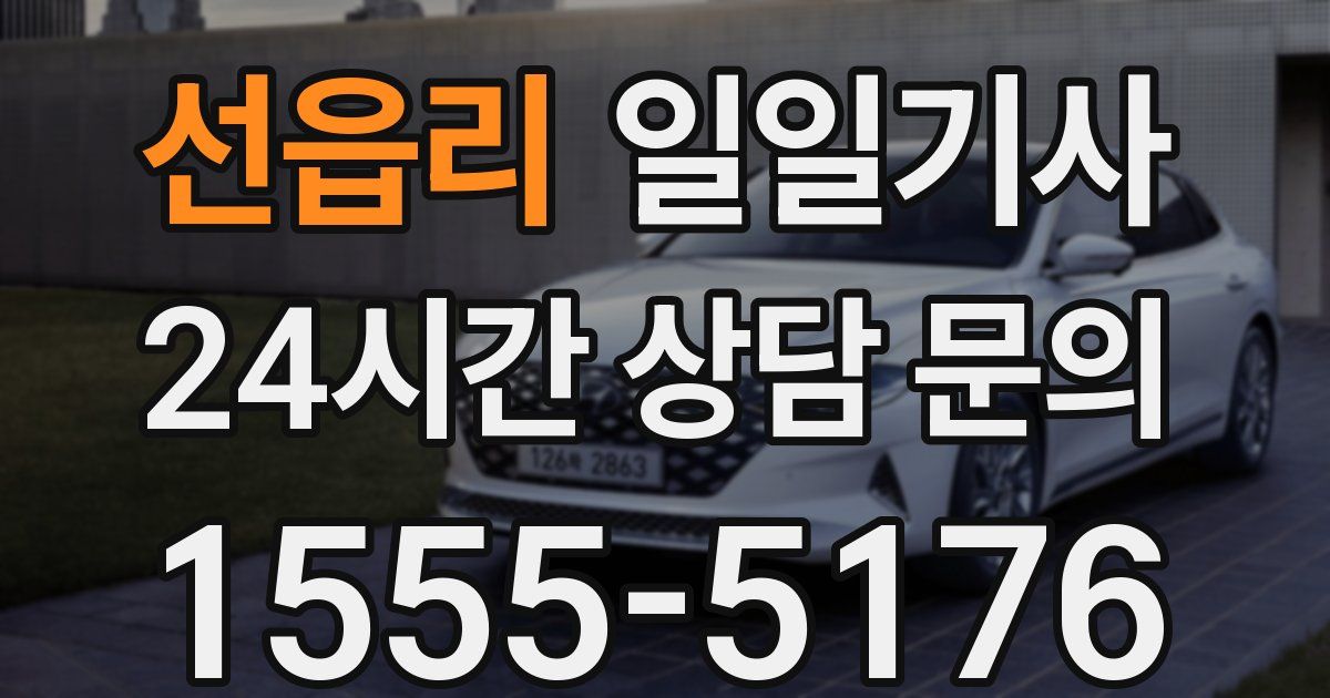 일일대리기사