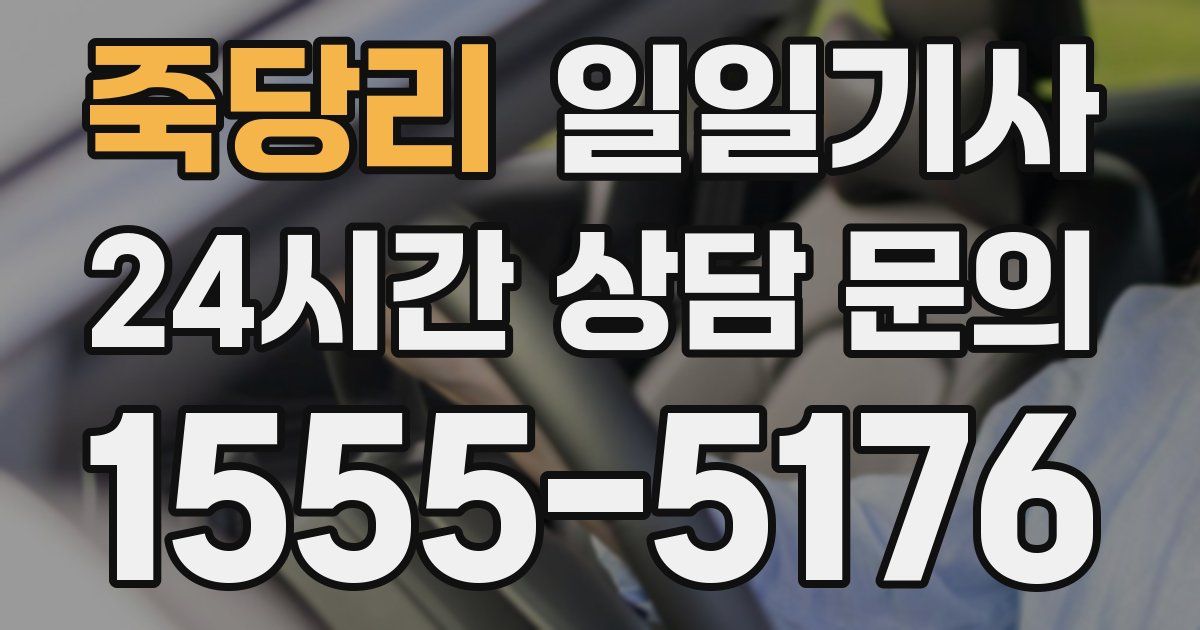 일일대리기사