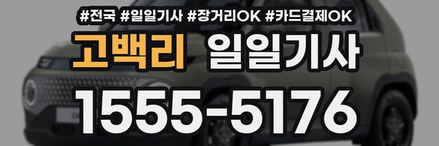 고백리 일일기사