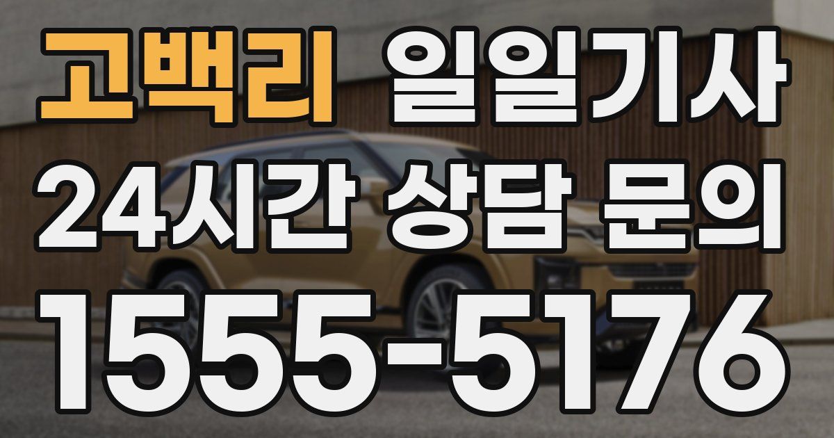일일대리기사