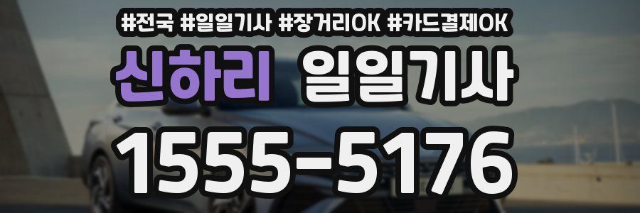 신하리 일일기사