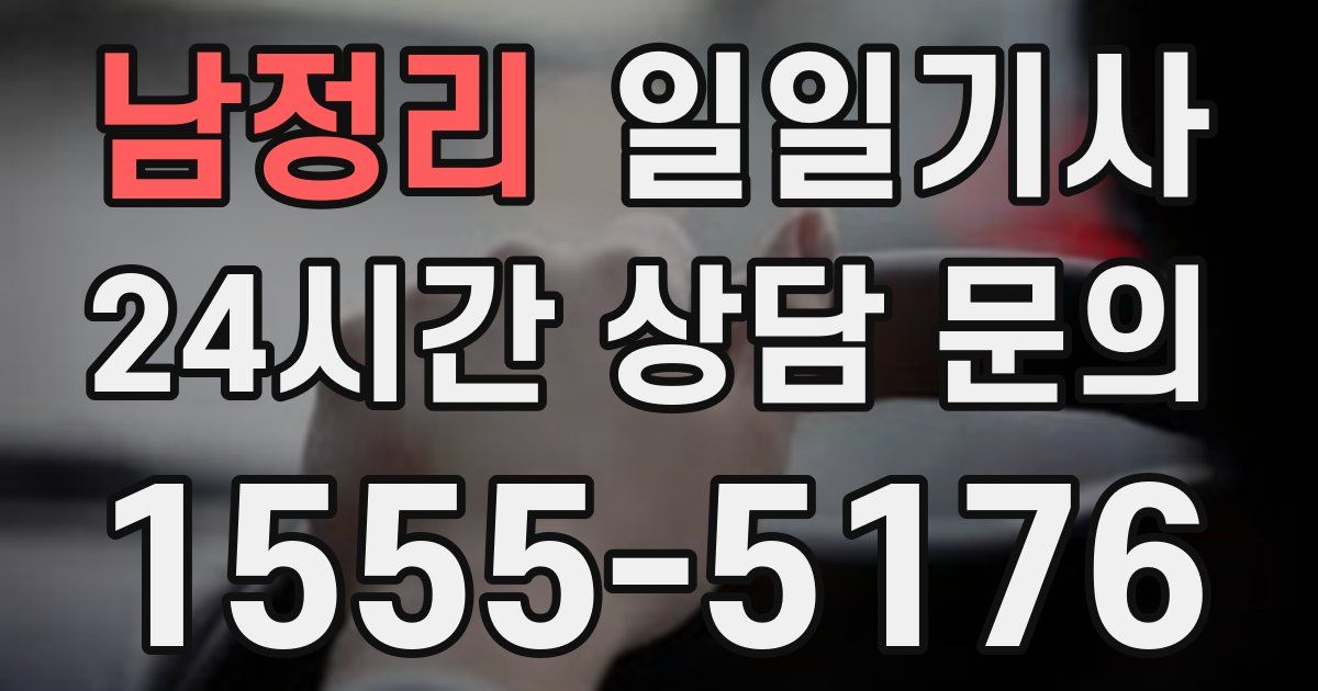 일일대리기사