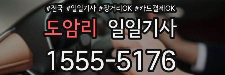 도암리 일일기사