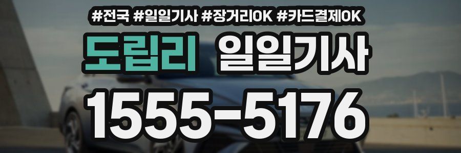 도립리 일일기사