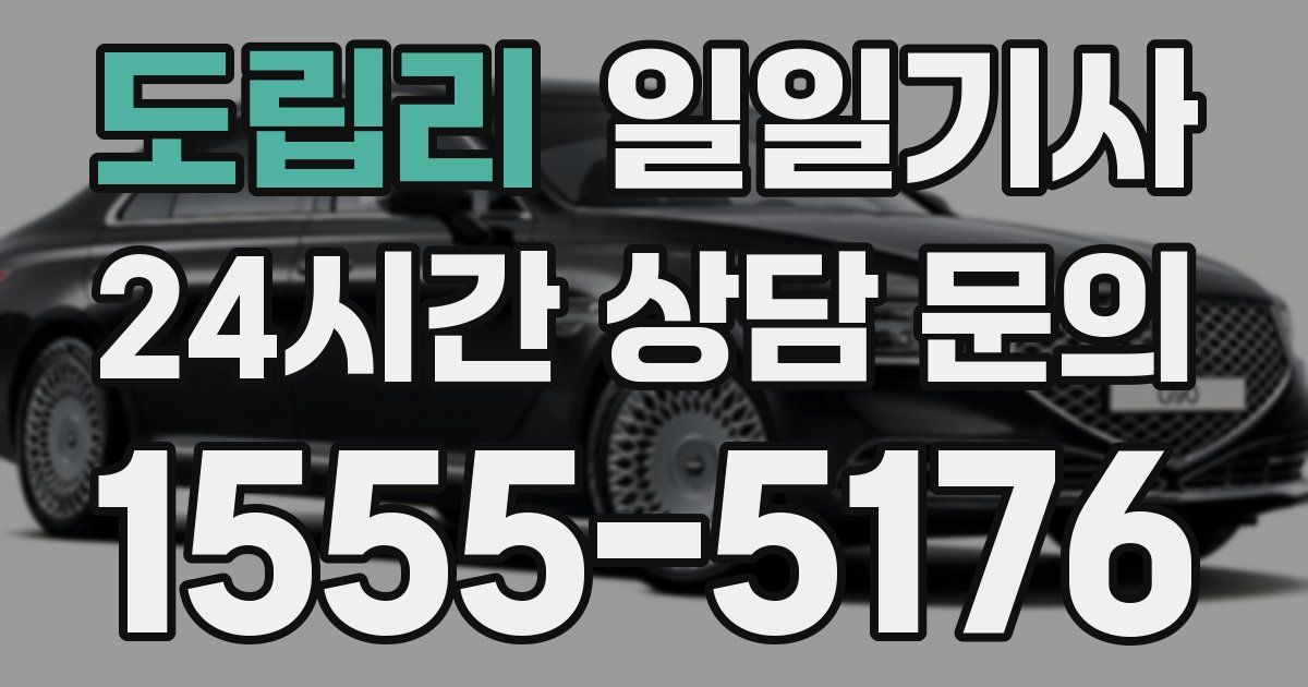 일일대리기사