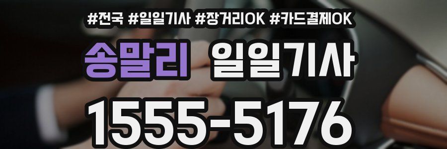 송말리 일일기사