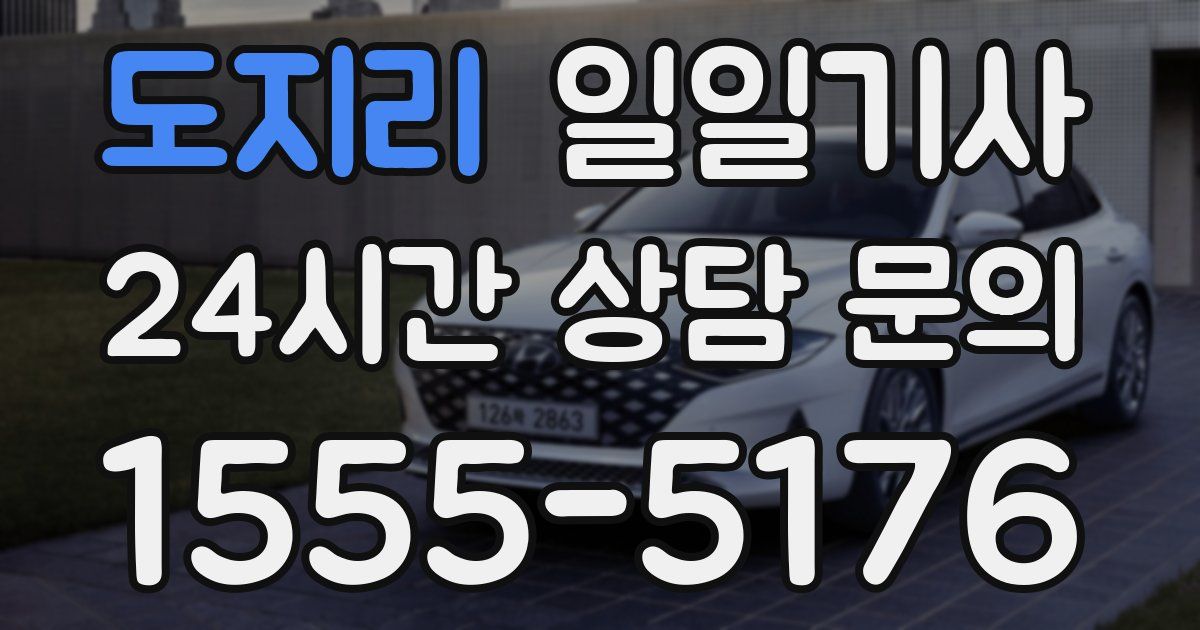 일일대리기사