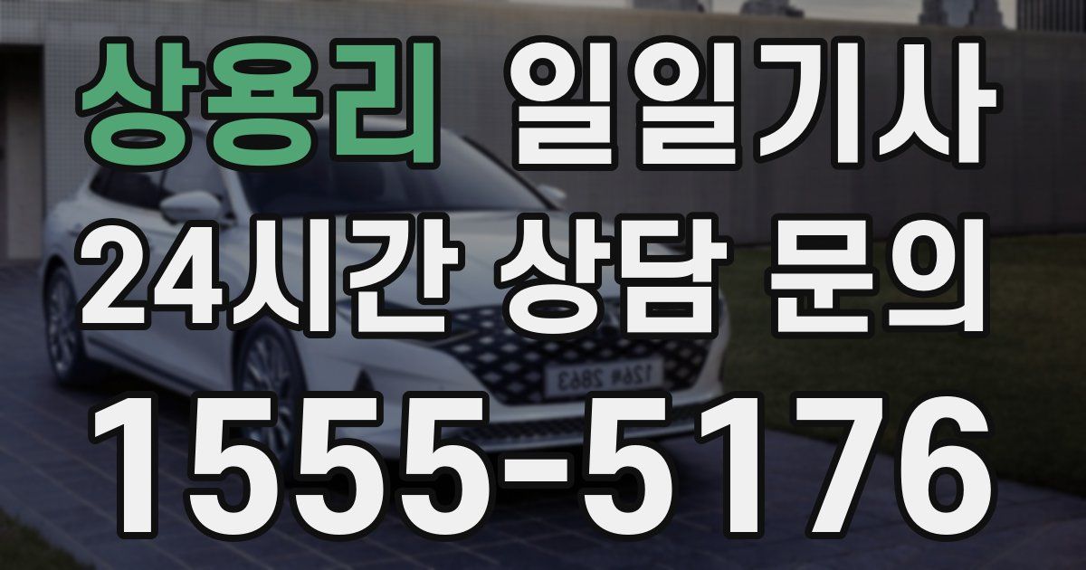 일일대리기사