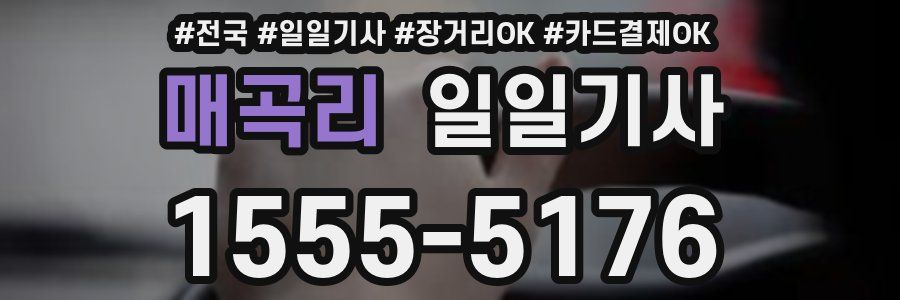 매곡리 일일기사