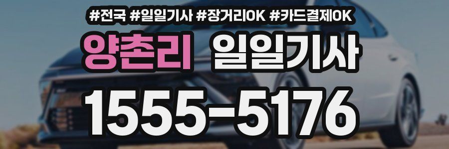 양촌리 일일기사