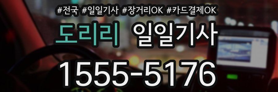 도리리 일일기사