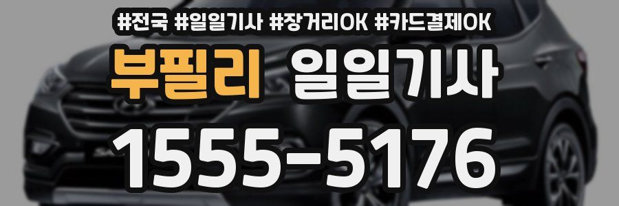 부필리 일일기사