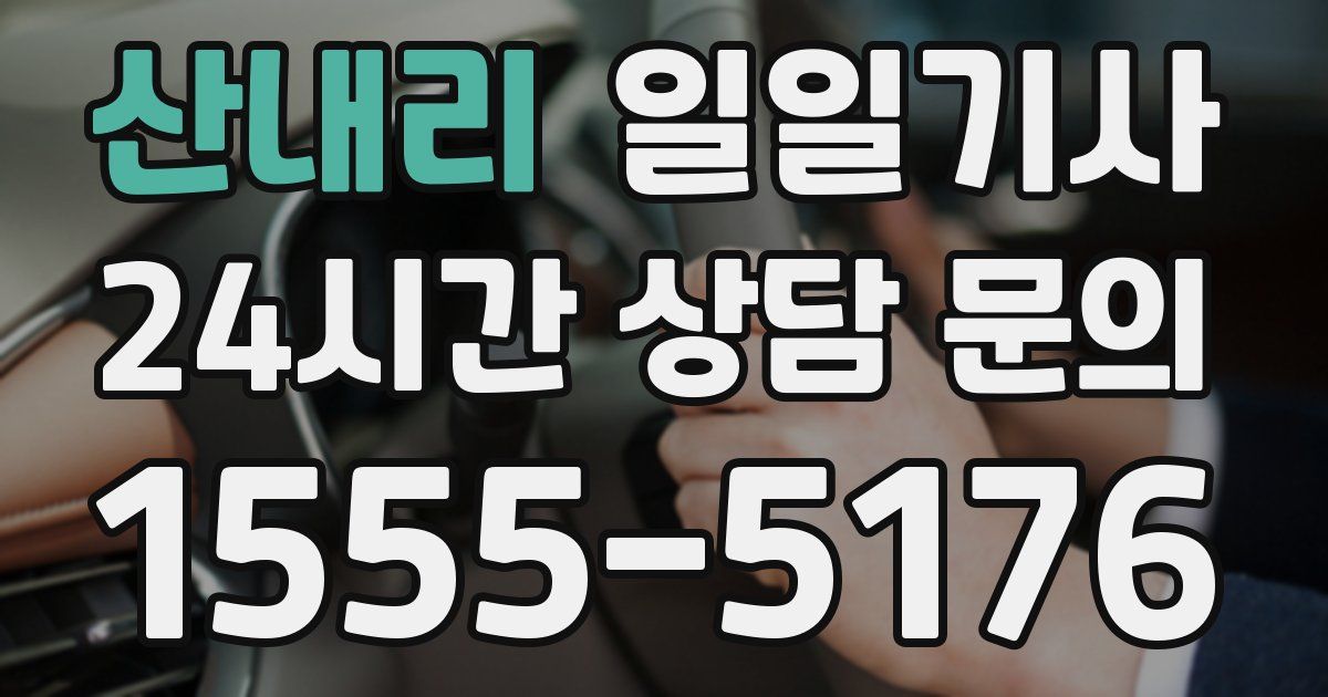 일일대리기사
