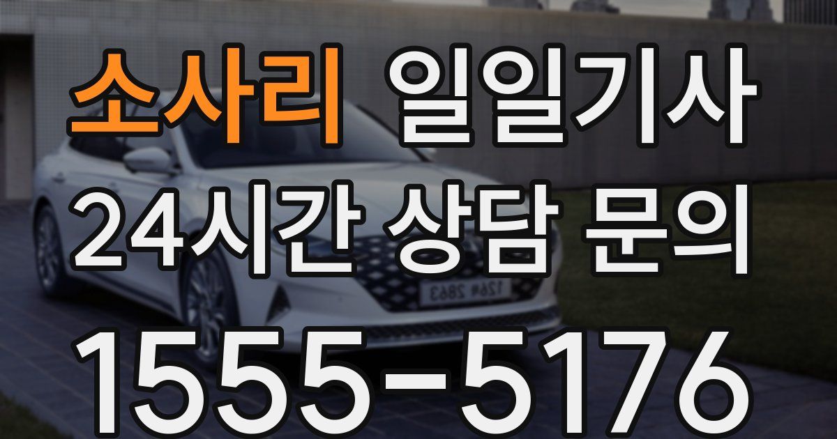 일일대리기사