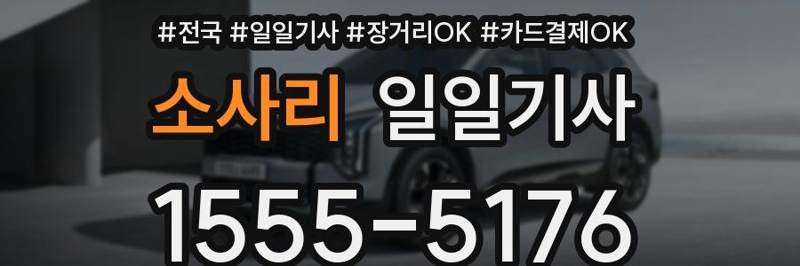 소사리 일일기사